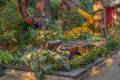 landscaping-Gallery-006-1500x1000